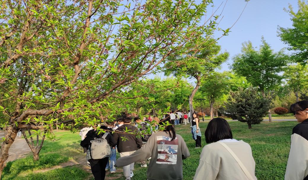 e490946061e10c086412cefe37a06de