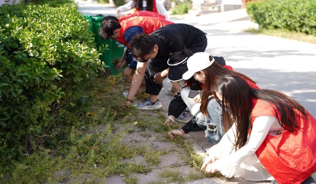 微信图片_20240417235235