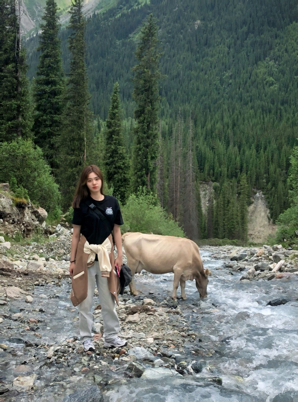 470ccacf11d2898ac440a4e12569339