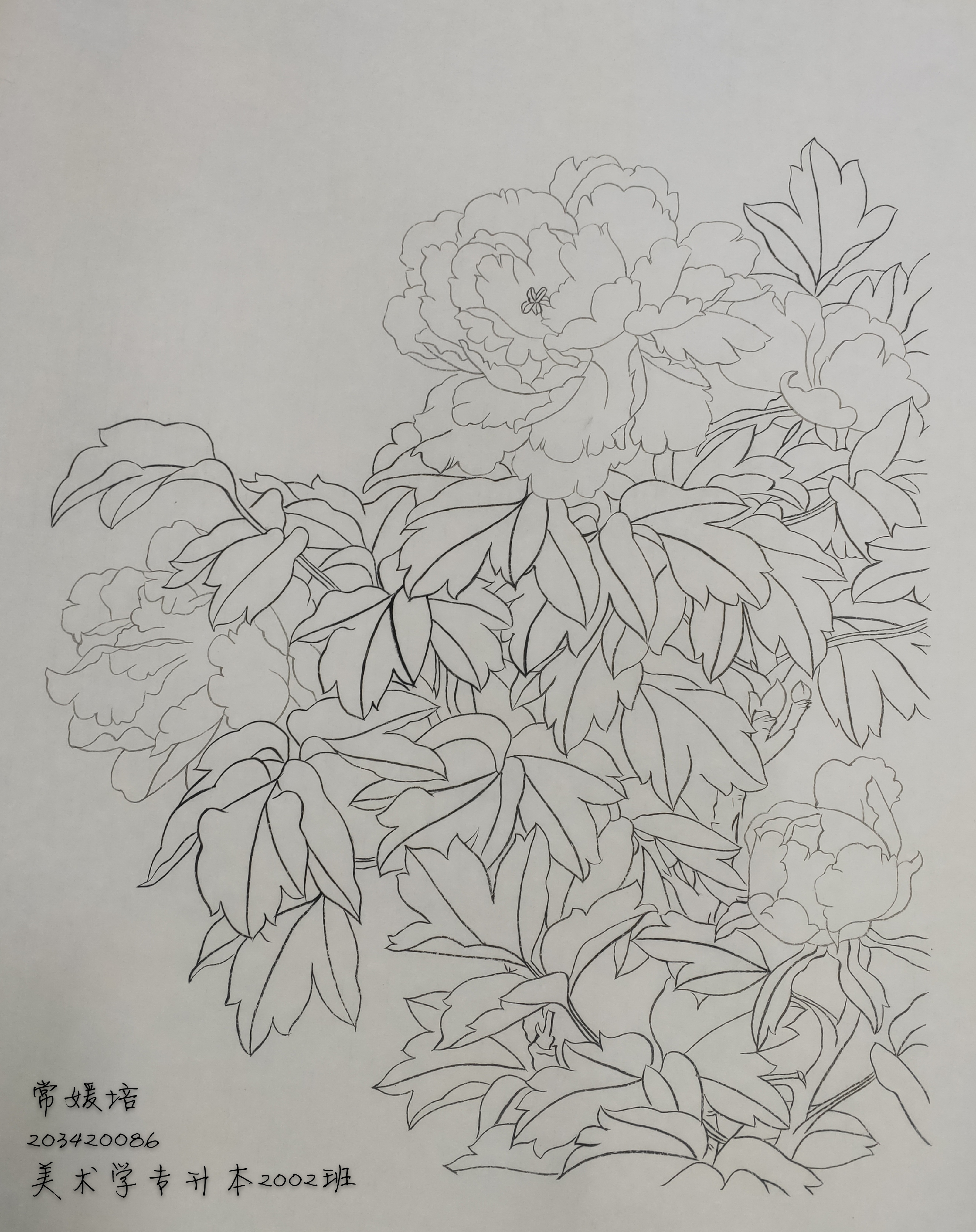 203420086常媛培 (3)