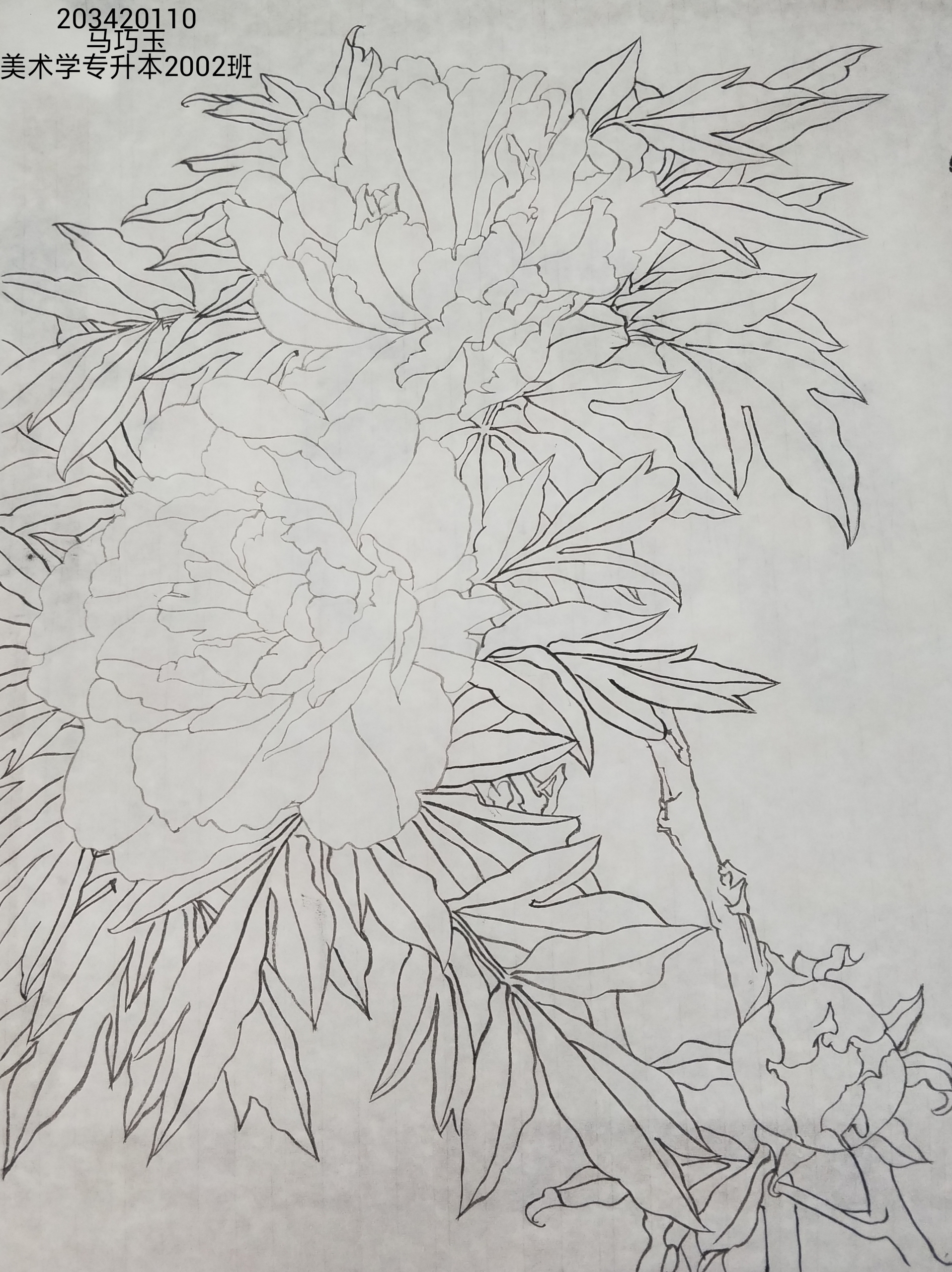 203420110马巧玉(1)