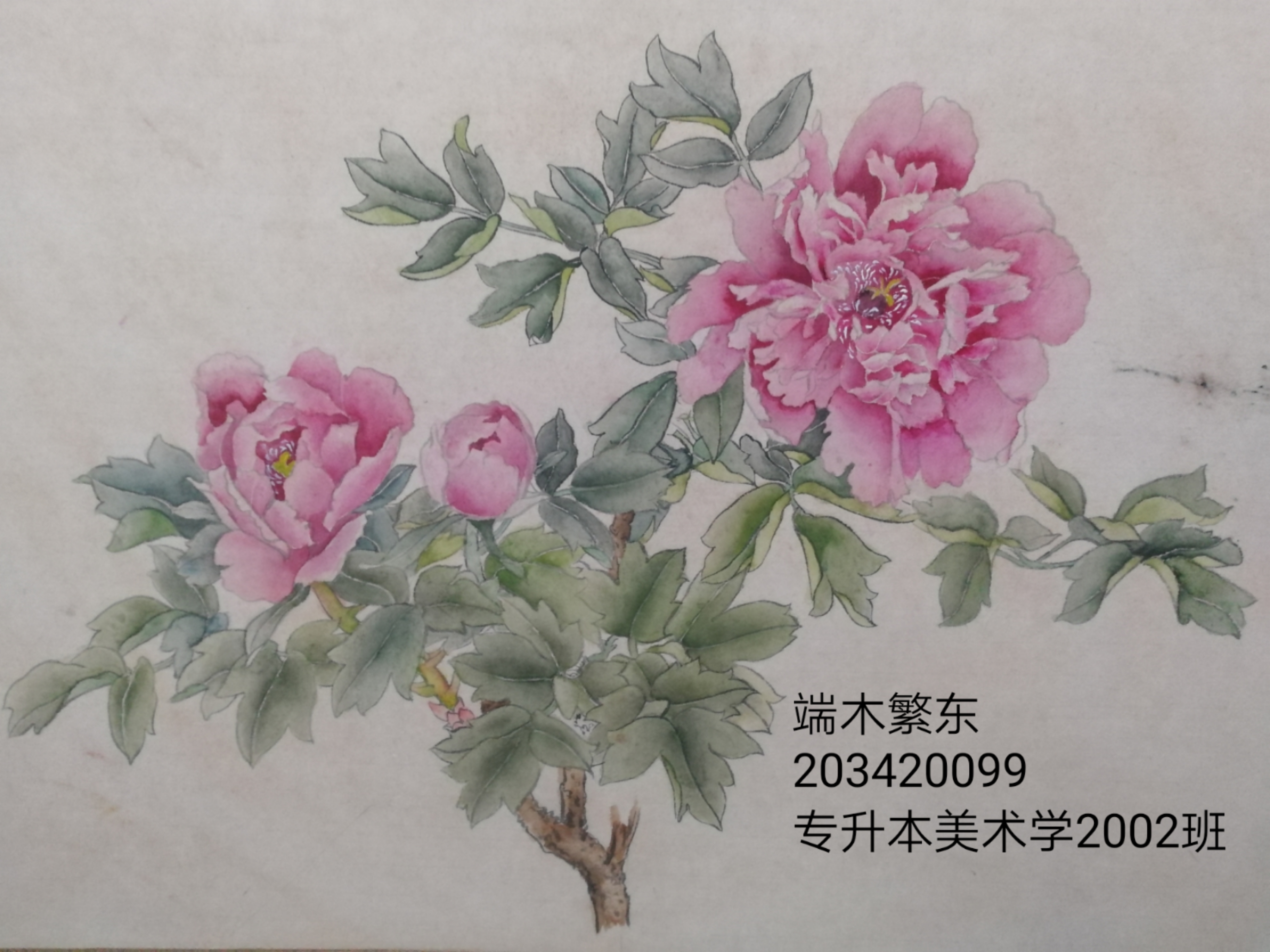 203420099端木繁东