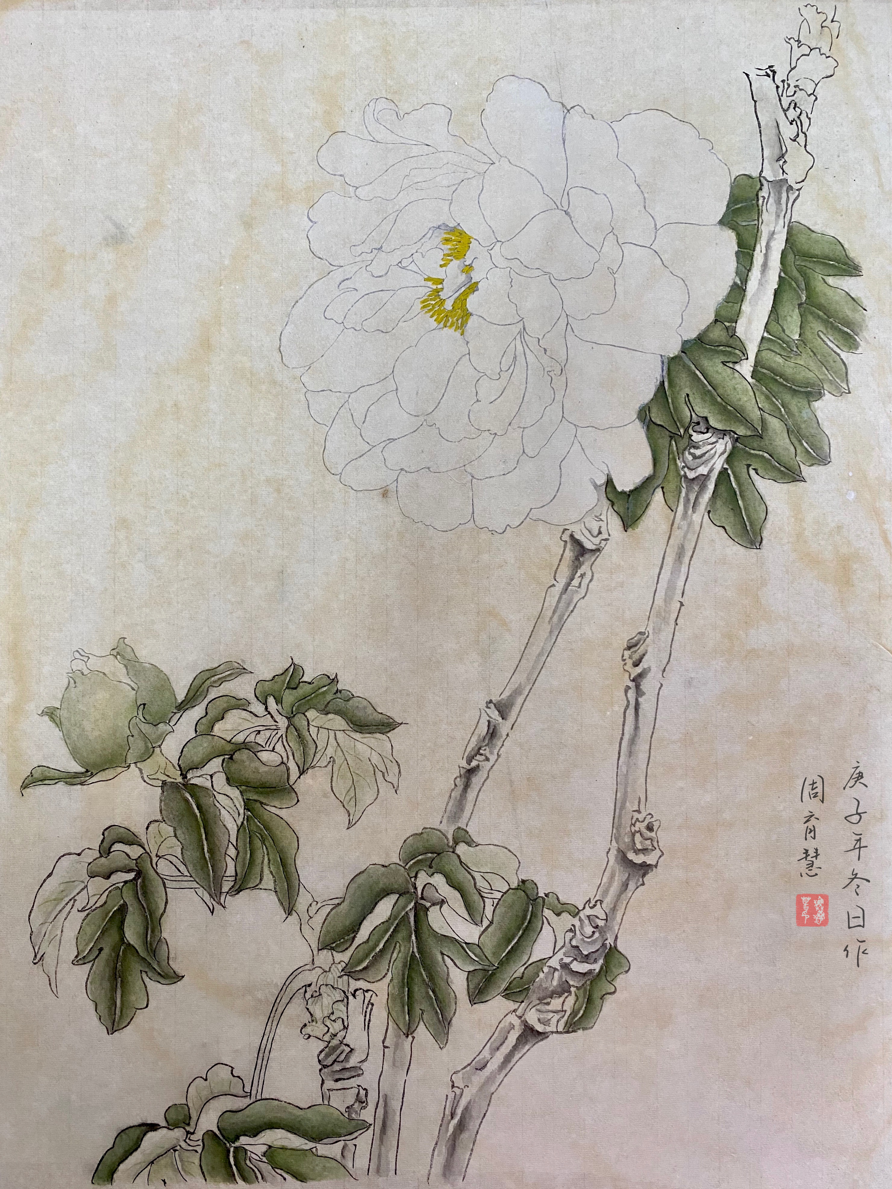 203420082 周育慧 2002班