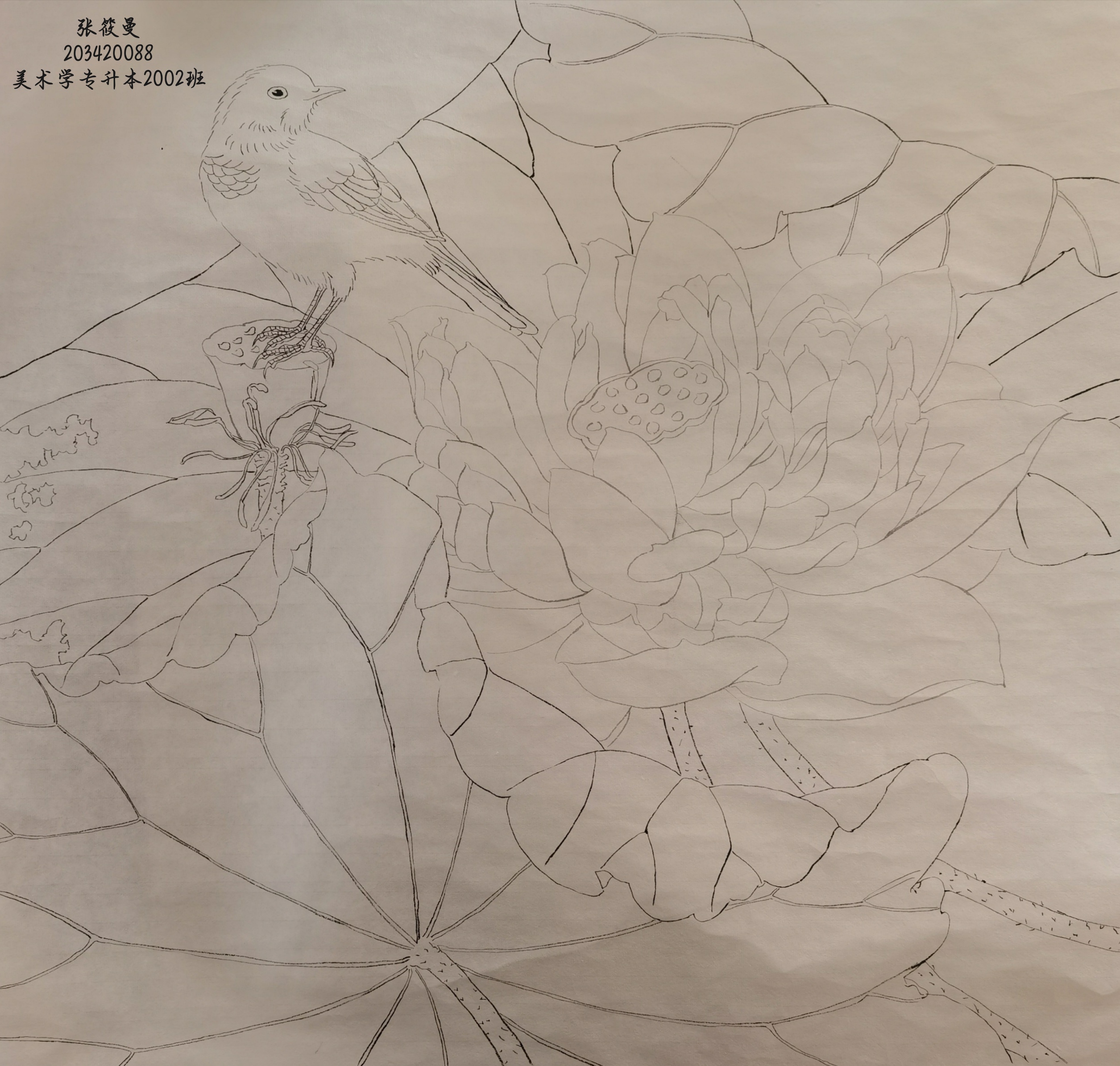 203420088 张筱曼  2002班