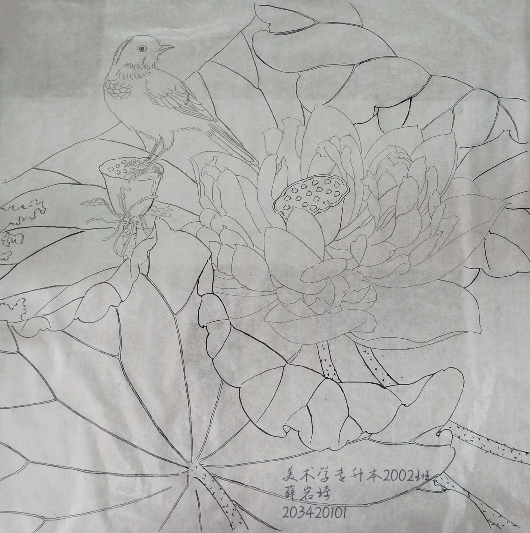 203420101  薛岩琦