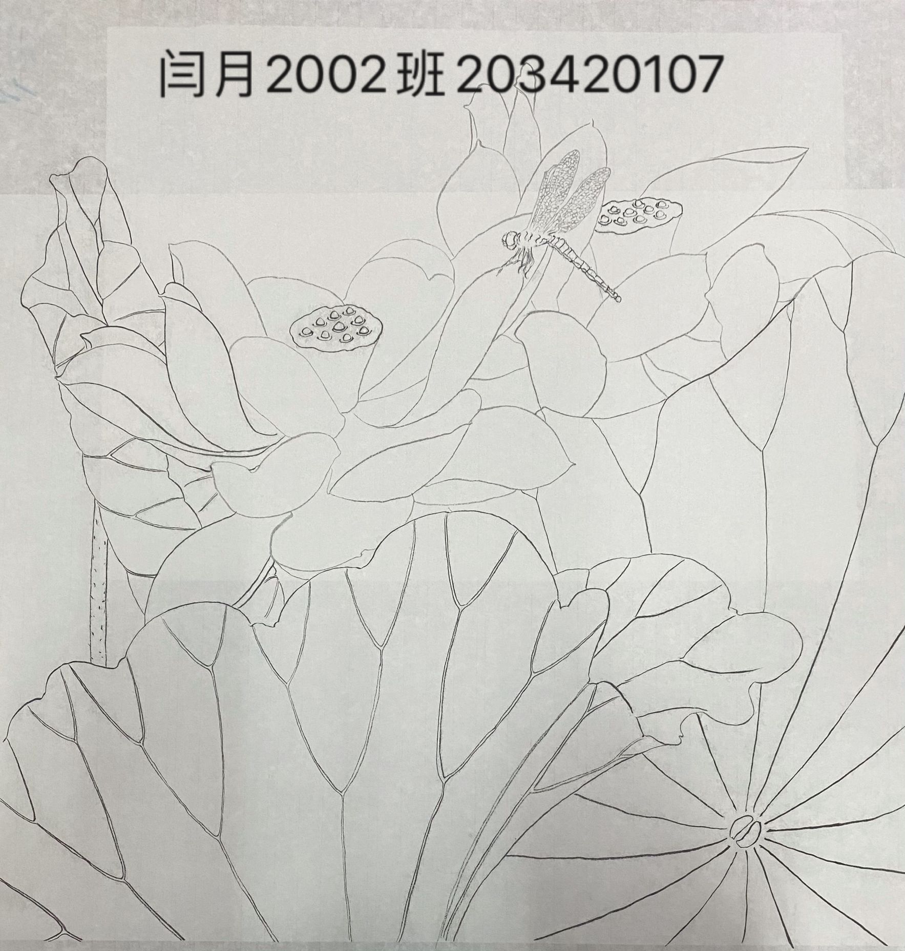 203420107  闫月