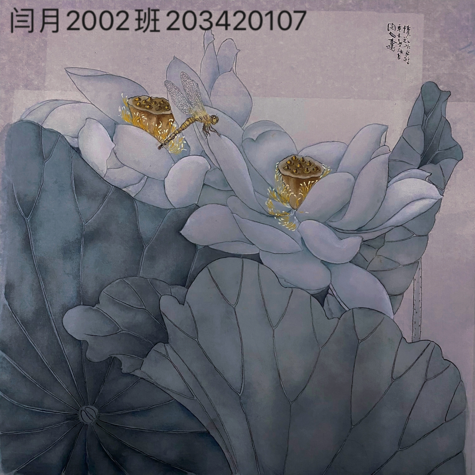 203420107  闫月