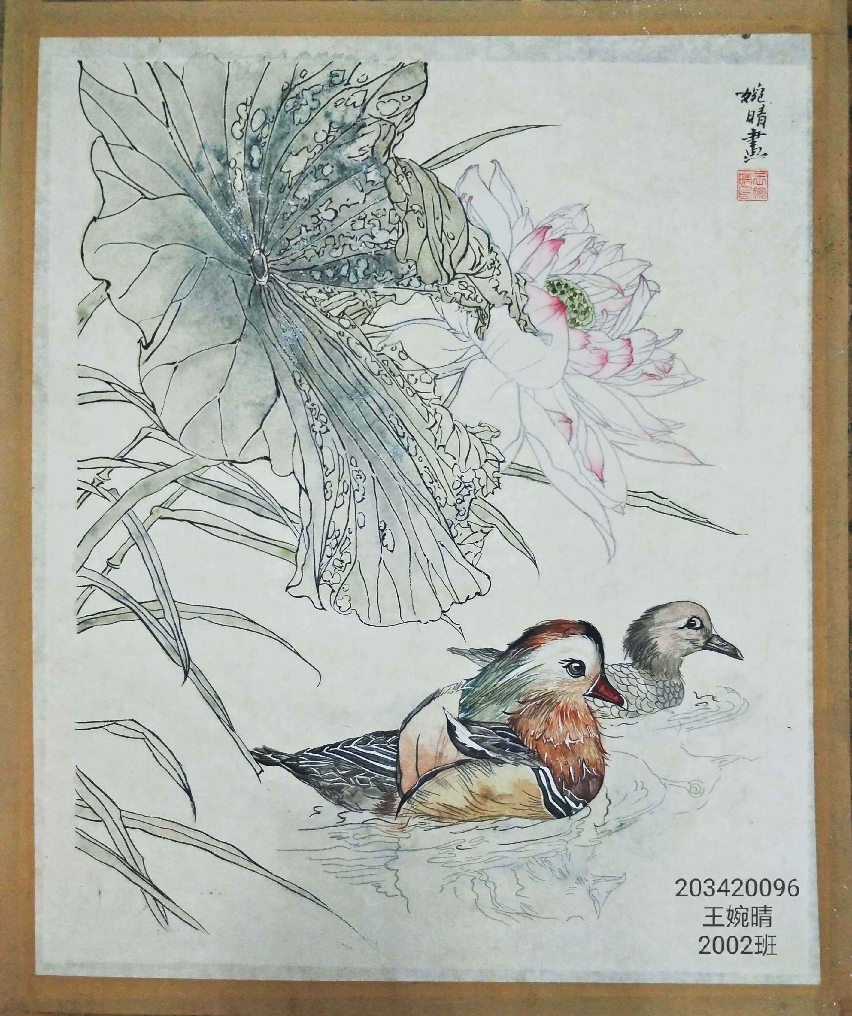 203420096      王婉晴