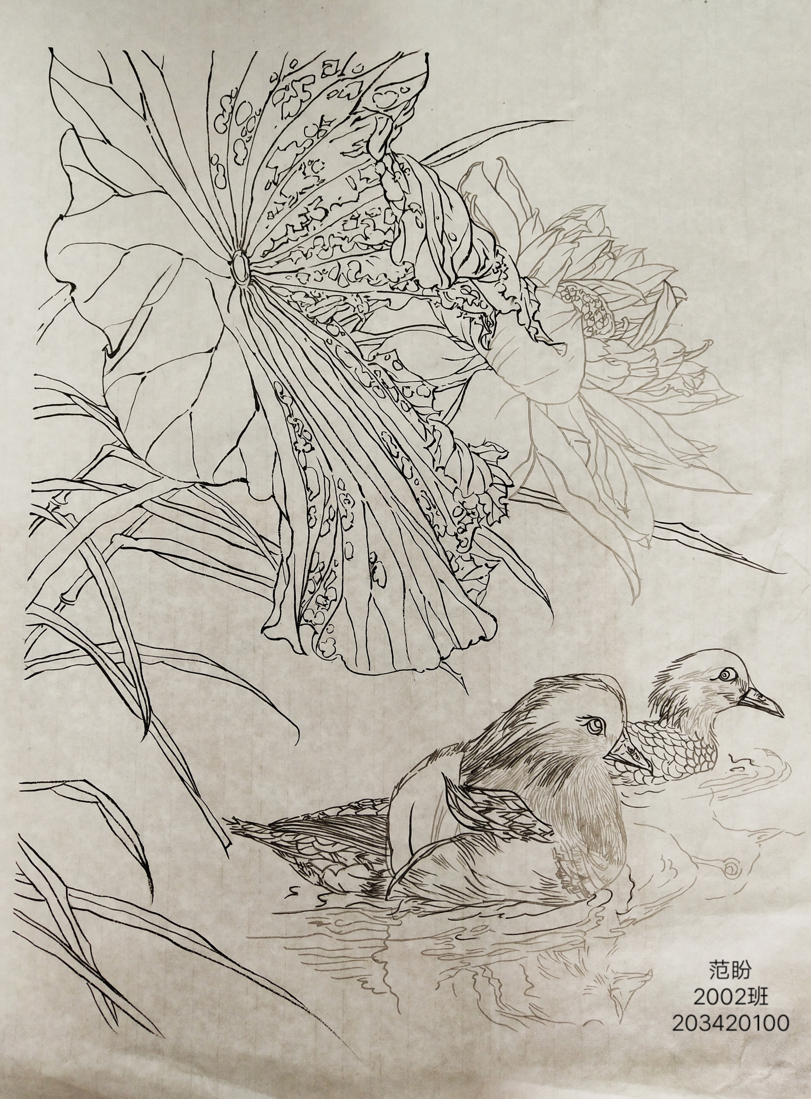 203420100     范盼