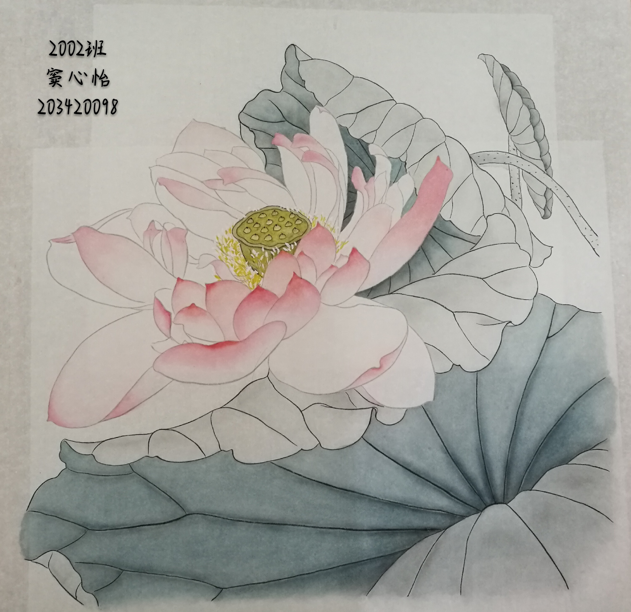 203420098  窦心怡