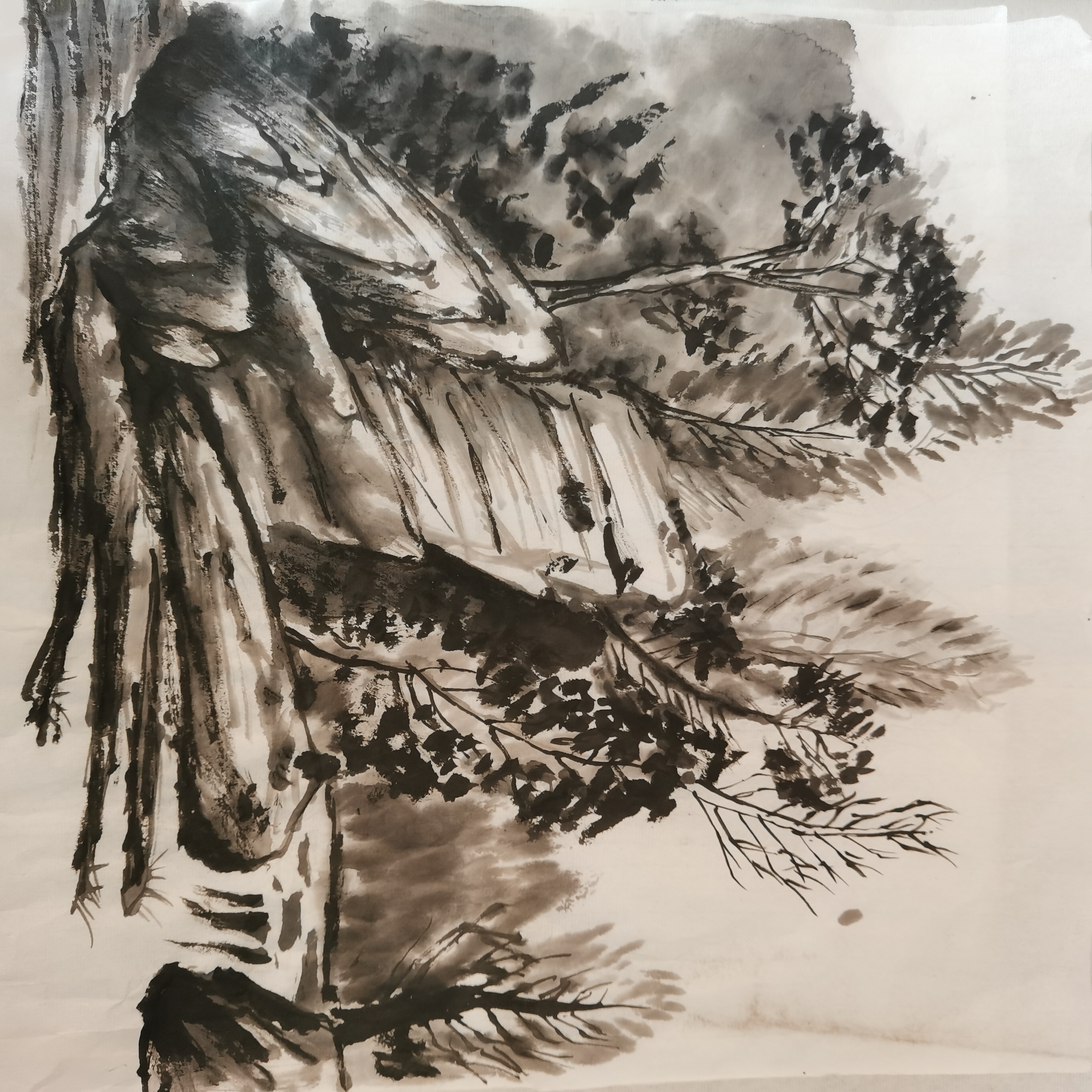 183310215 张硕 (2)