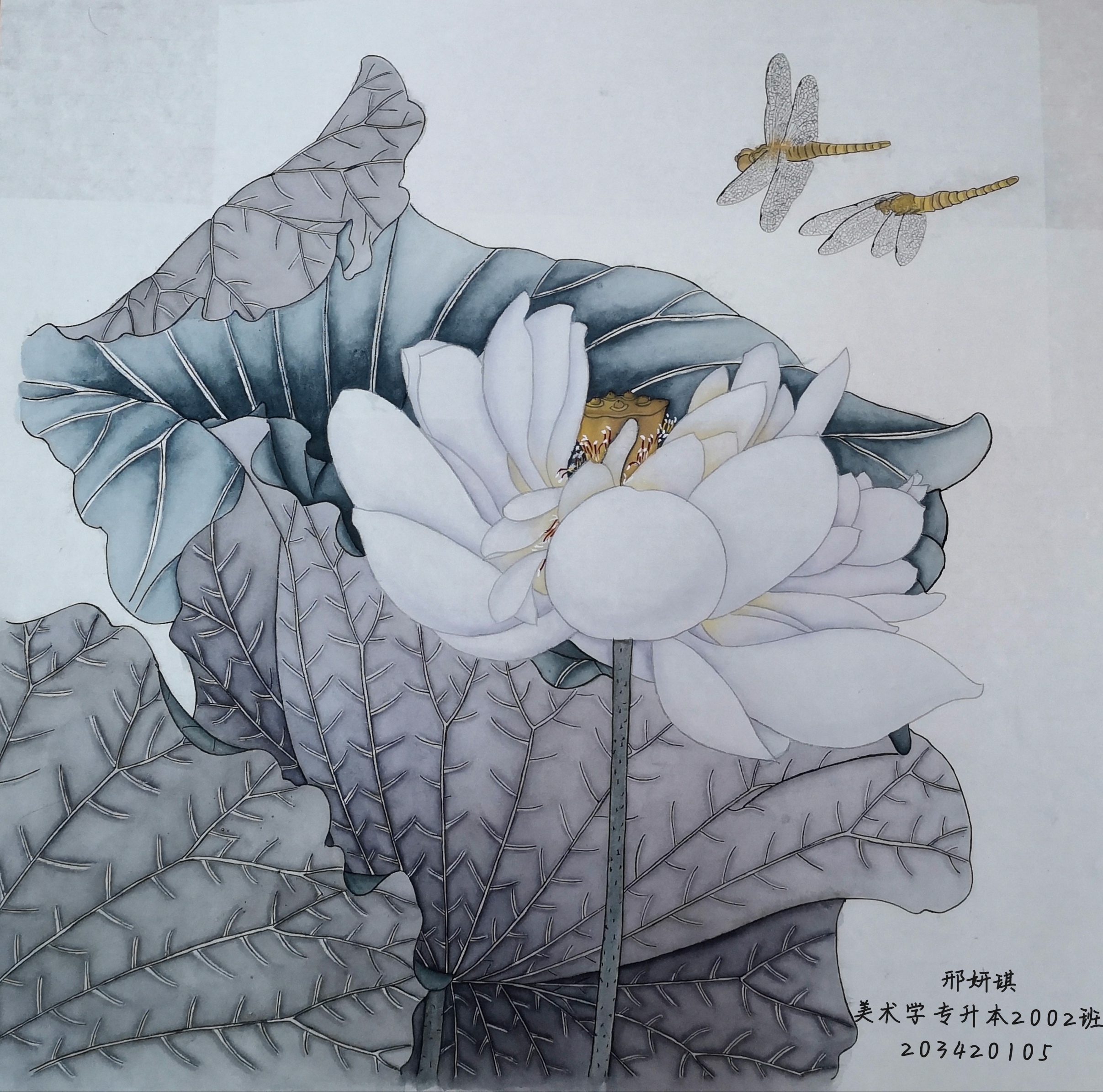 203420105  邢妍琪