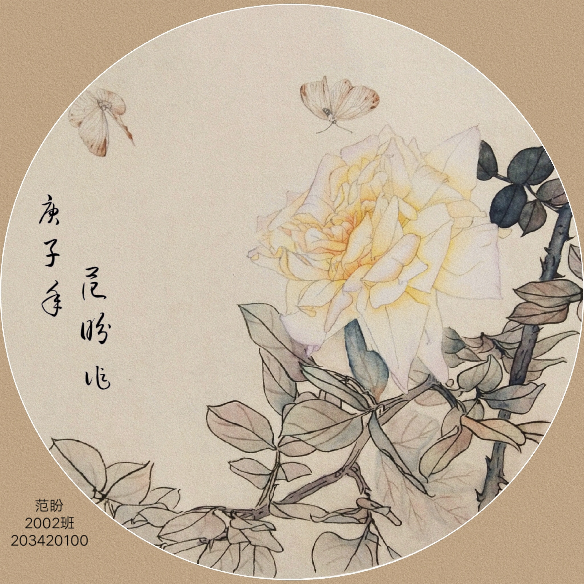 203420100        范盼