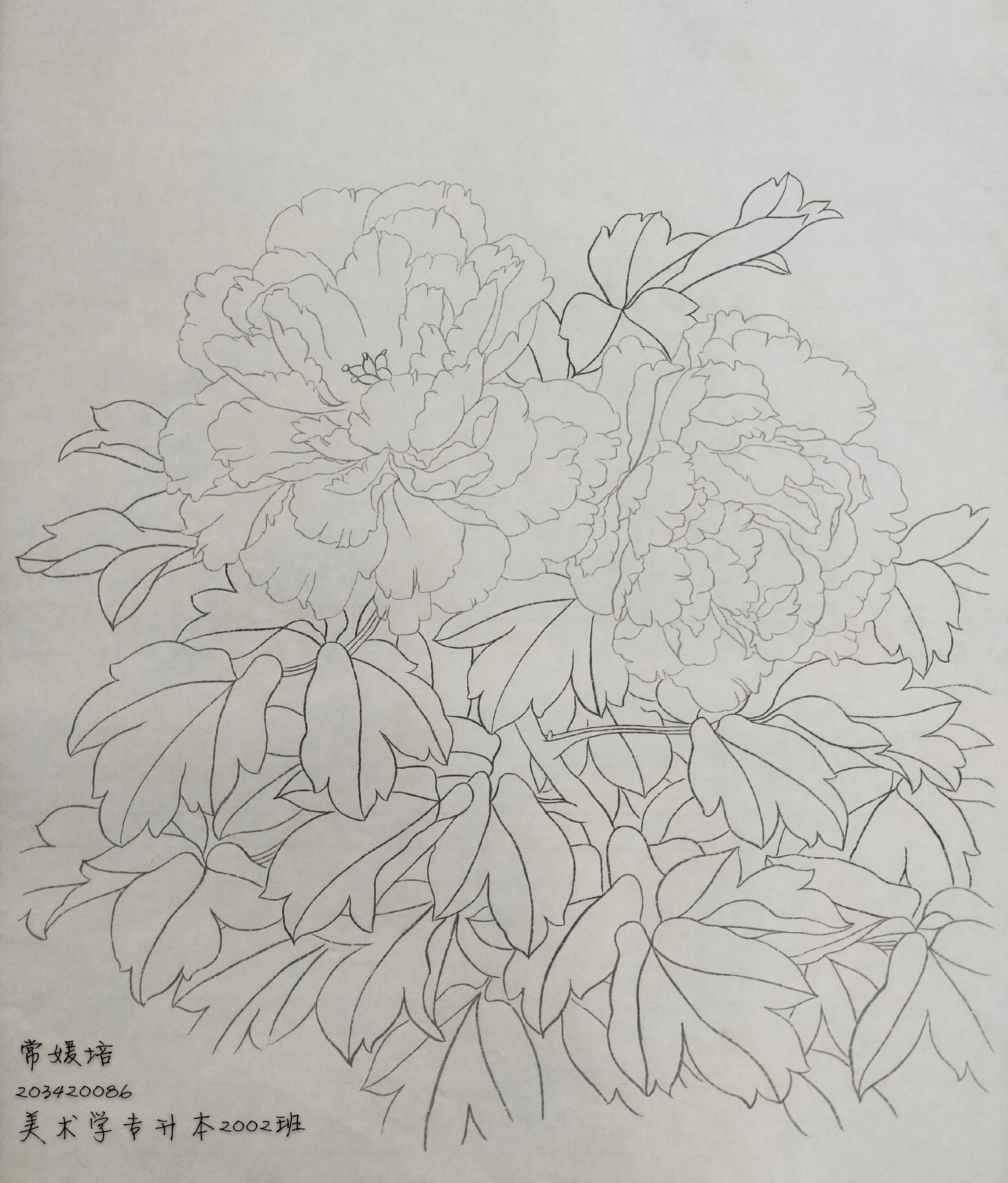 203420086常媛培 (4)