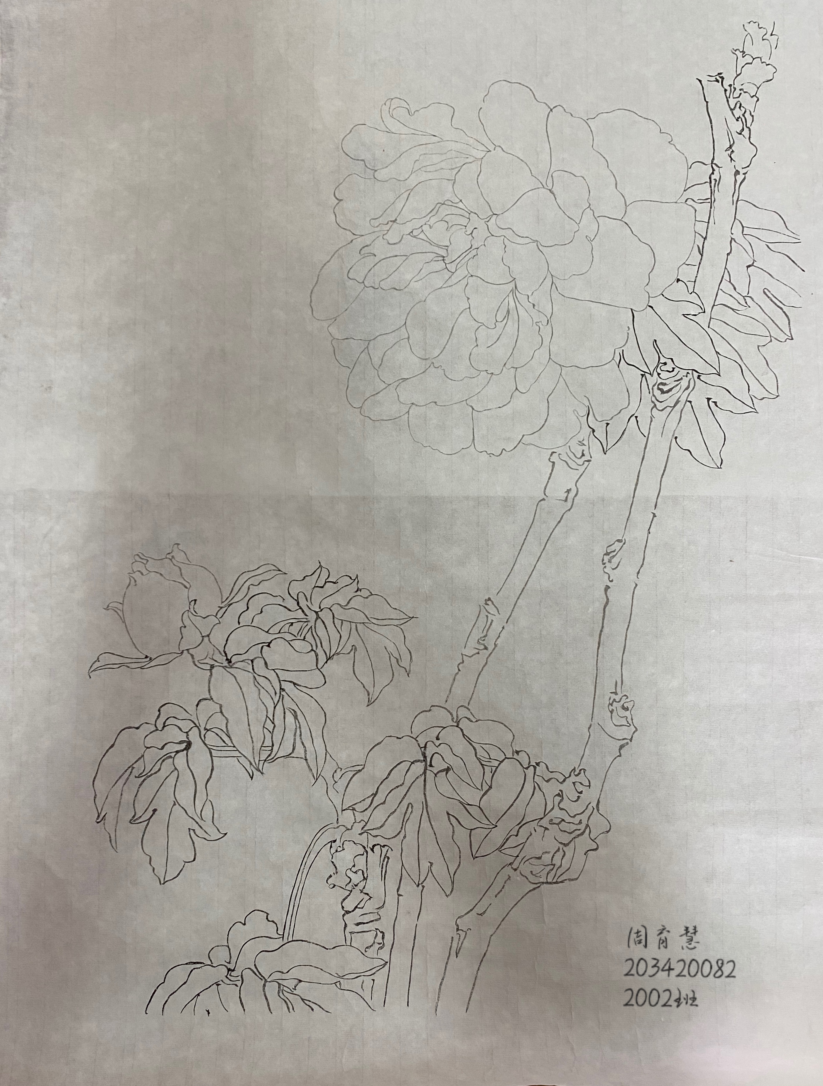 203420082 周育慧  2002班