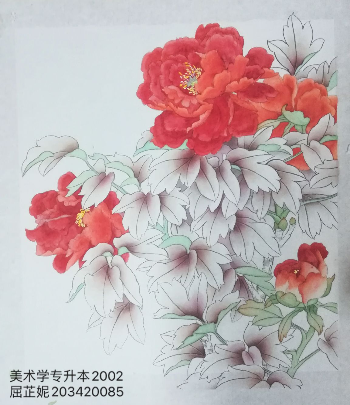 203420085屈芷妮(2)