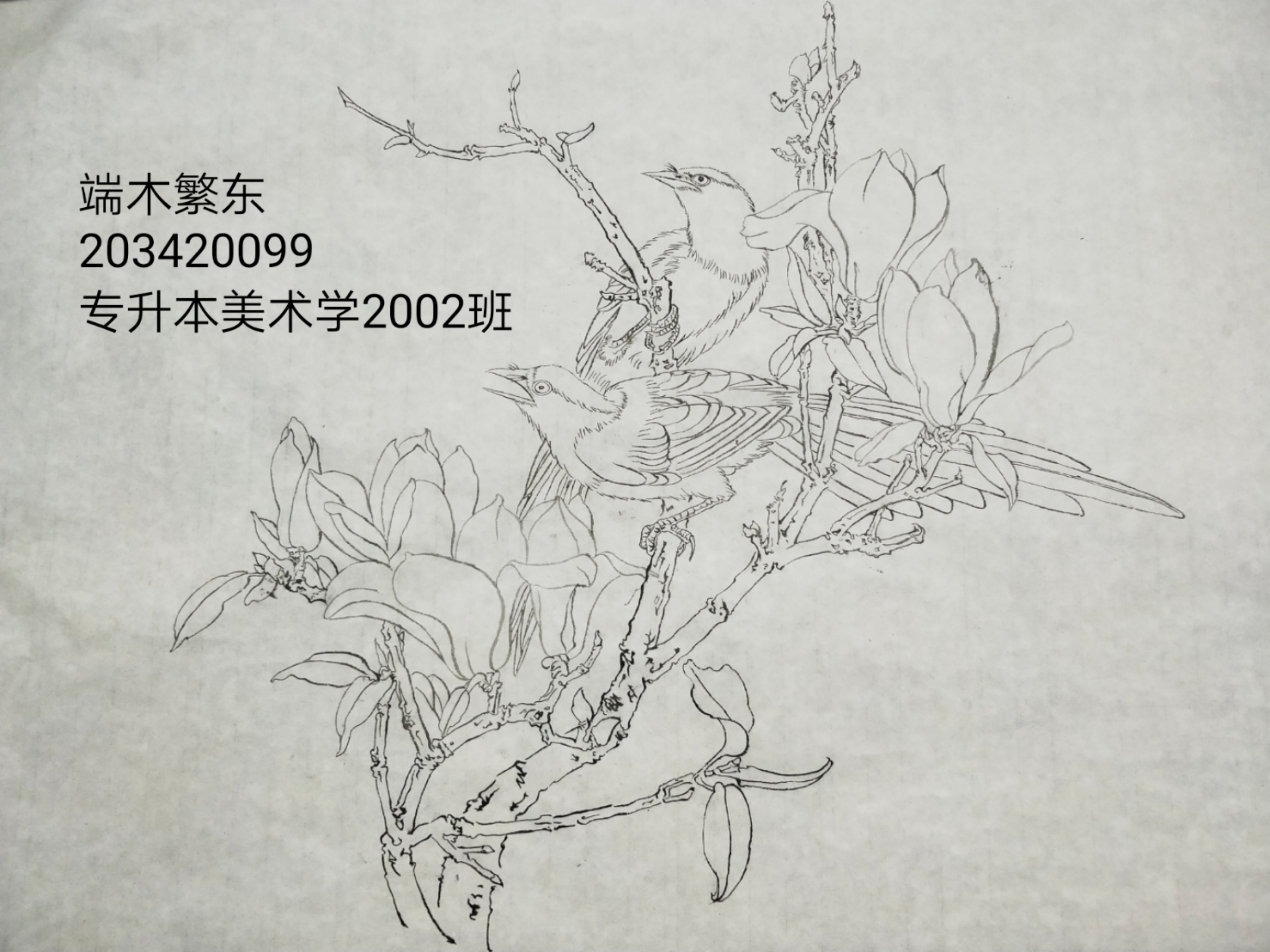 203420099  端木繁东