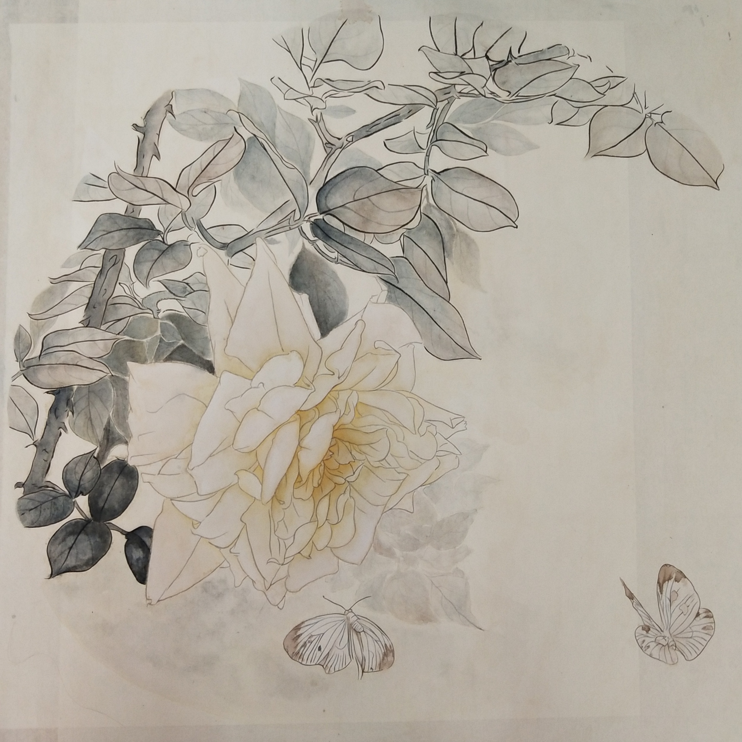 203420070  裴紫瑶