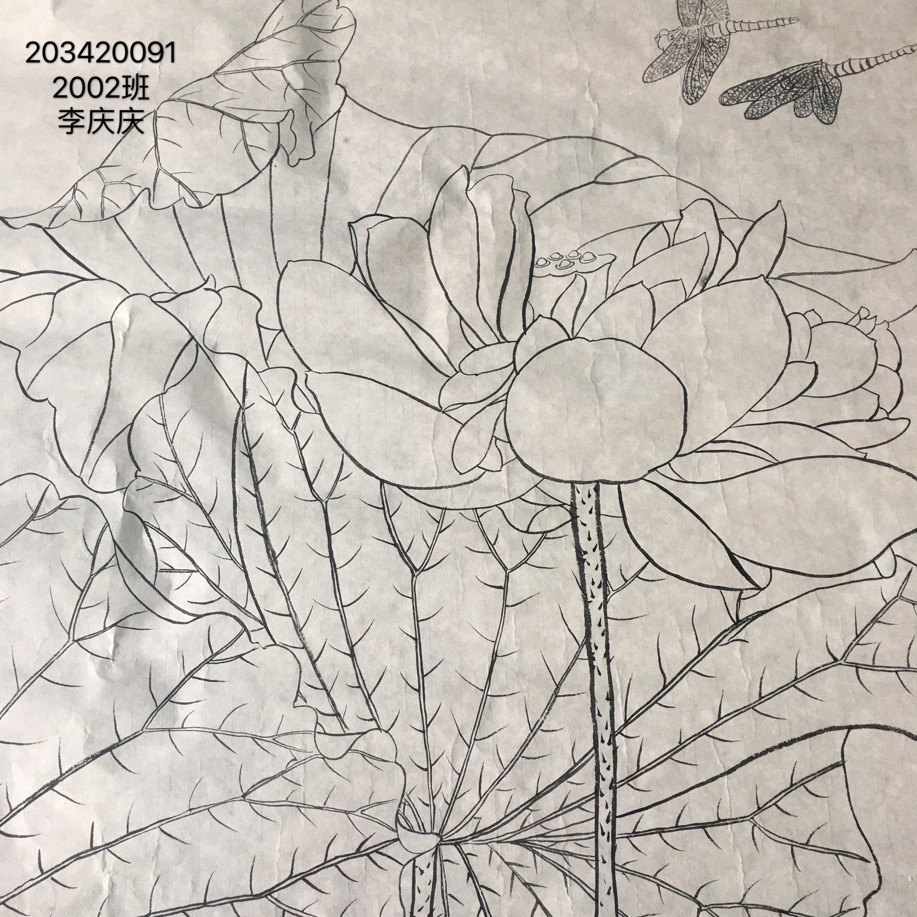 203420091  李庆庆