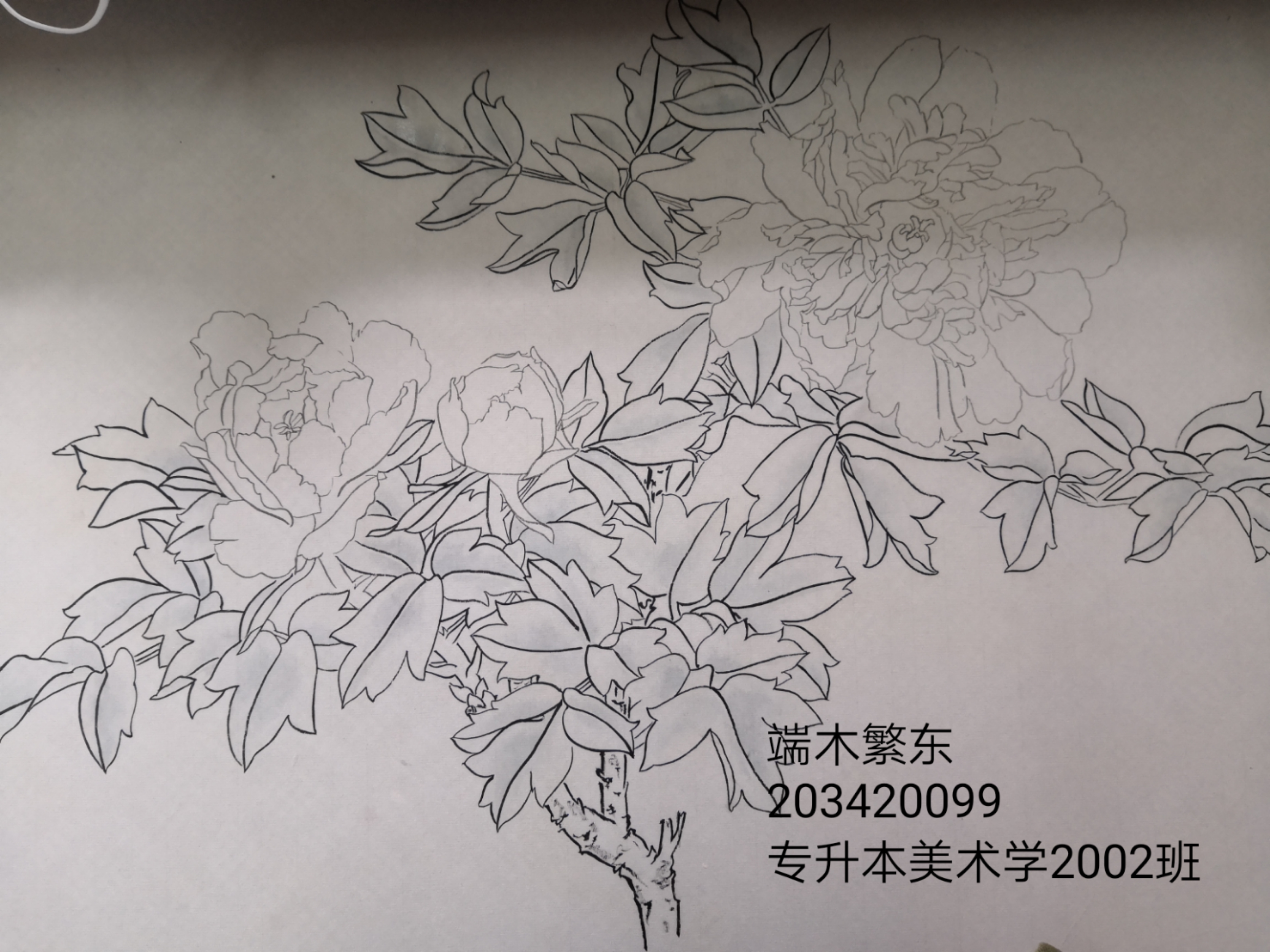 203420099 端木繁东