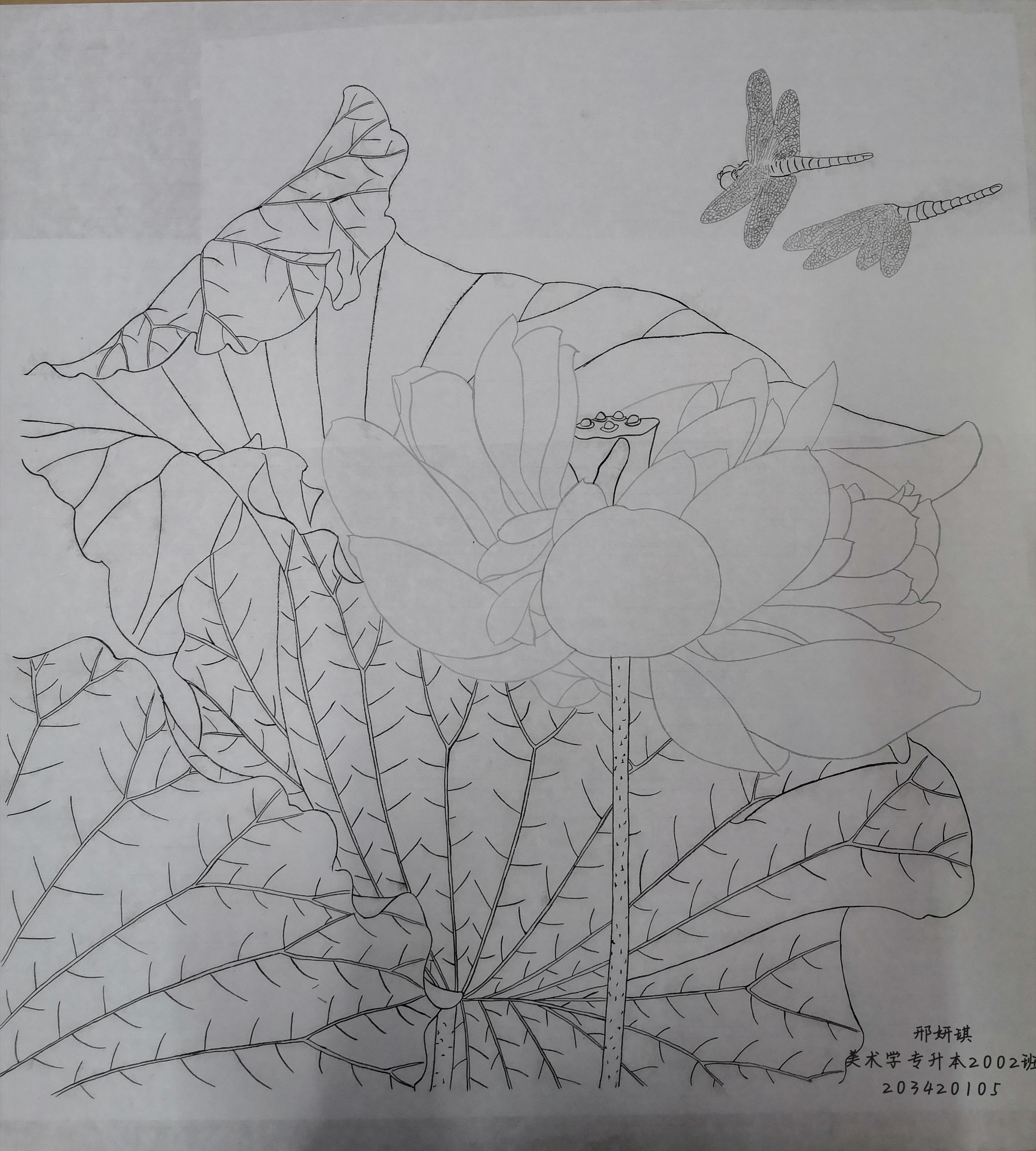 203420105   邢妍琪