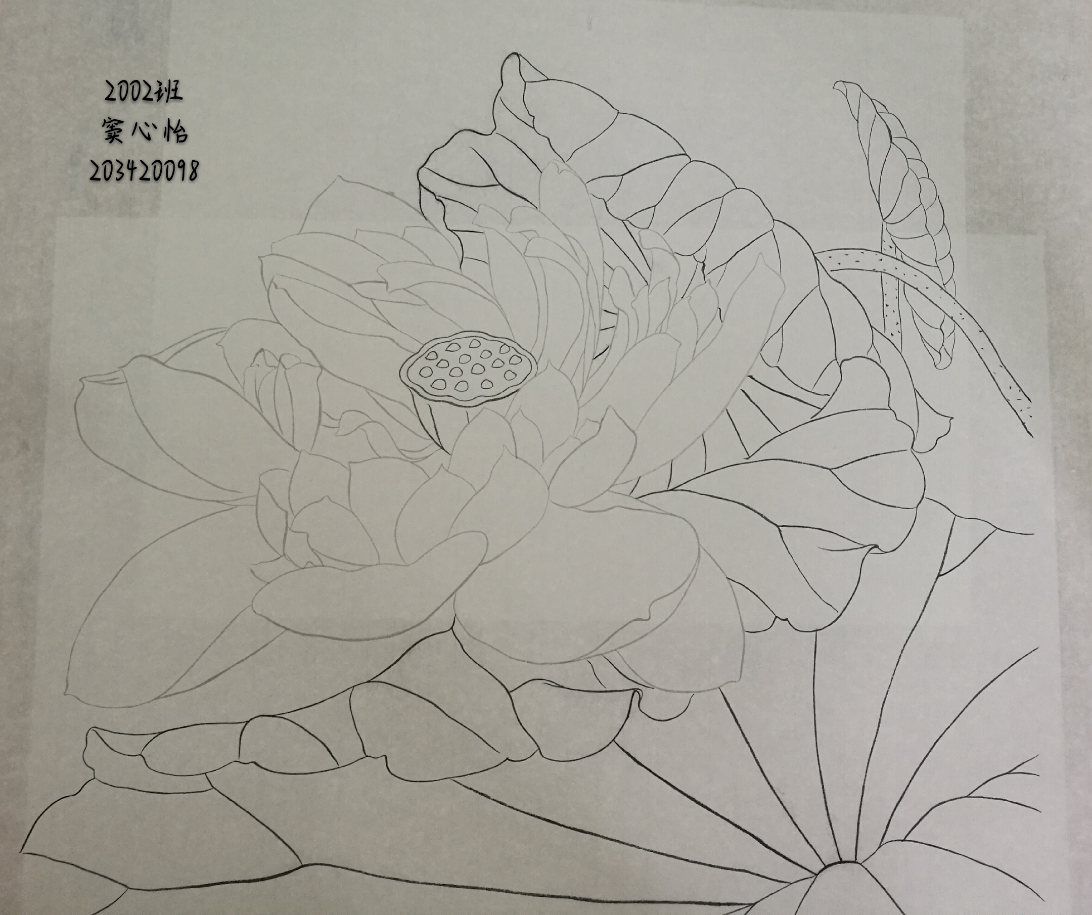 203420098  窦心怡(1)