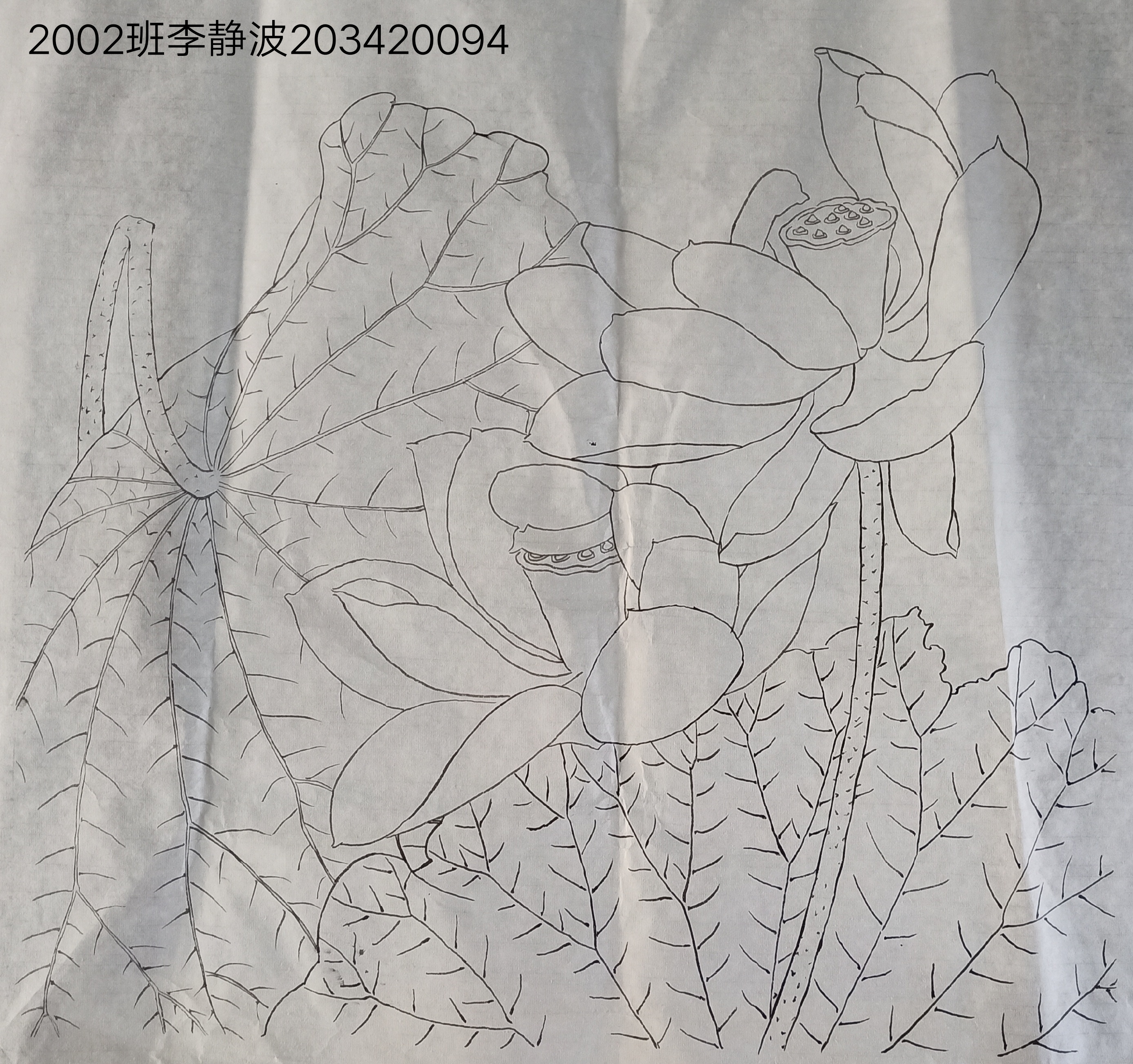 203420094  李静波