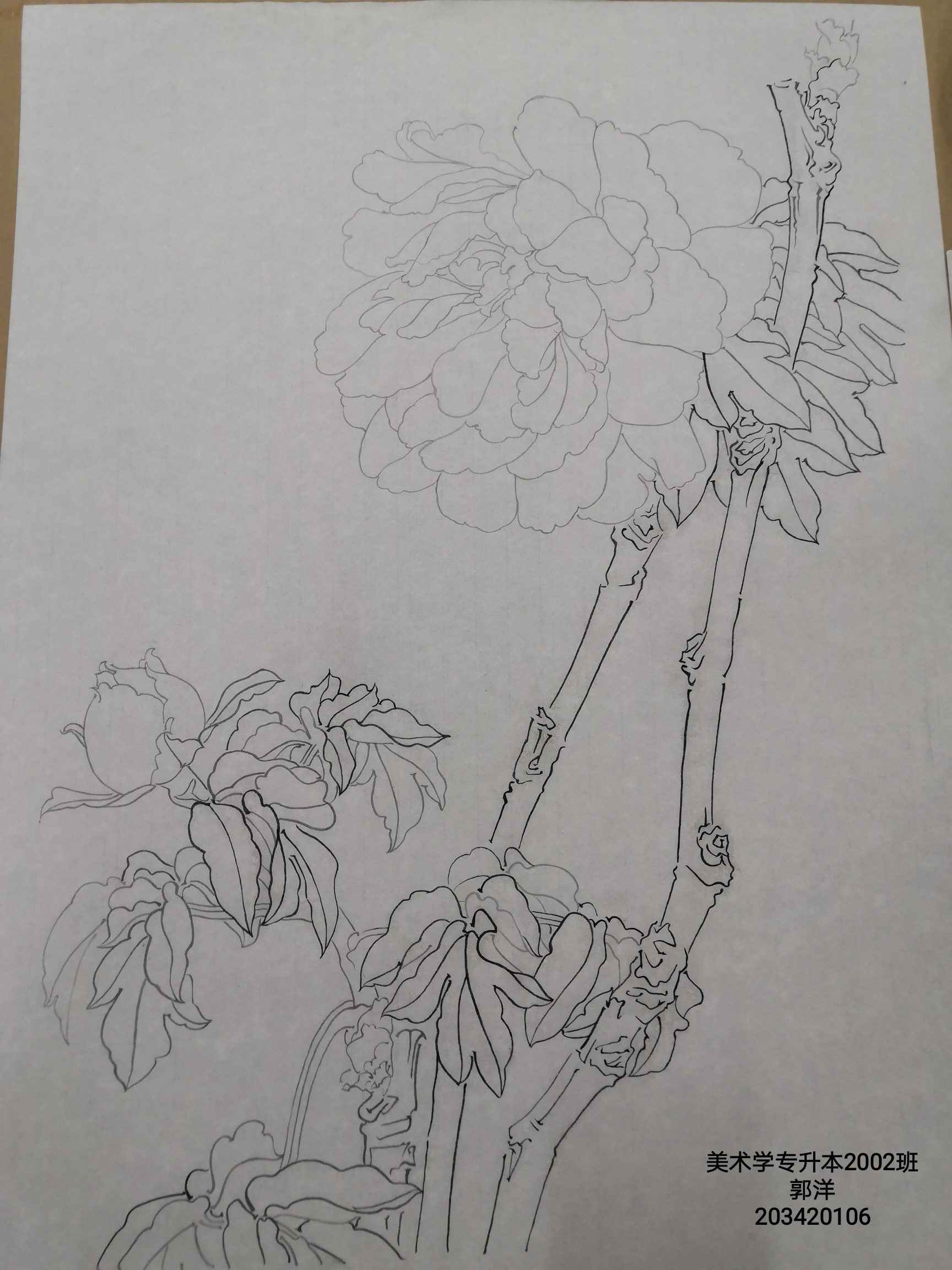 203420106郭洋 (2)