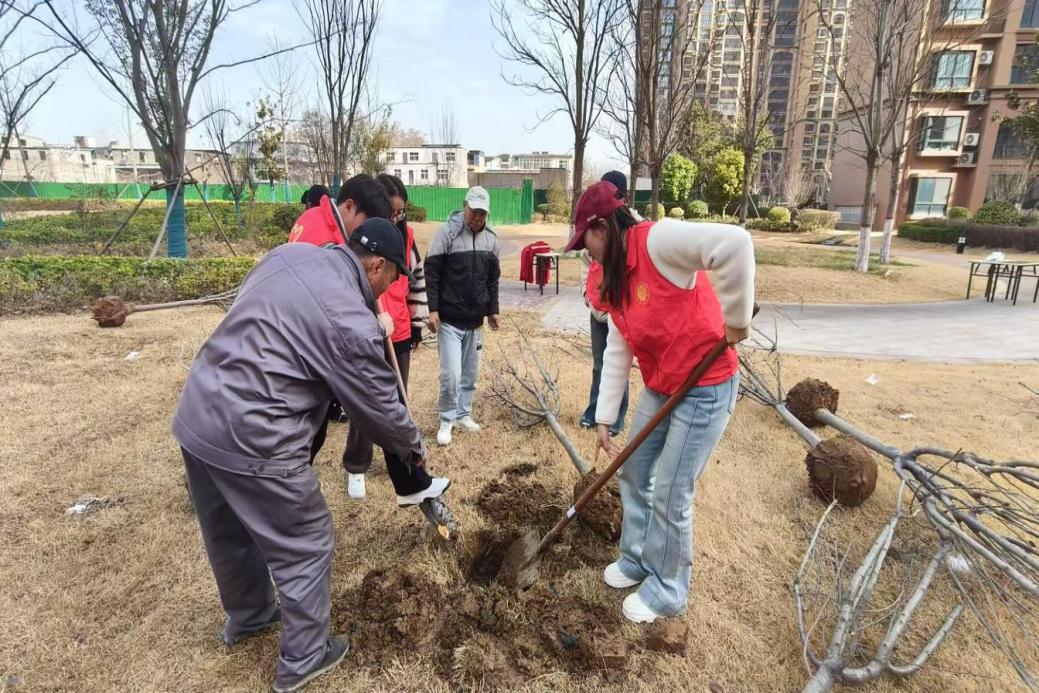 微信图片_20250312122254