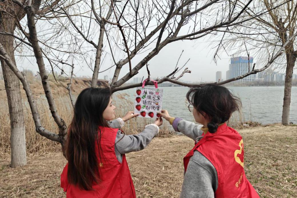 C:/Users/Administrator/Desktop/图片1.png图片1