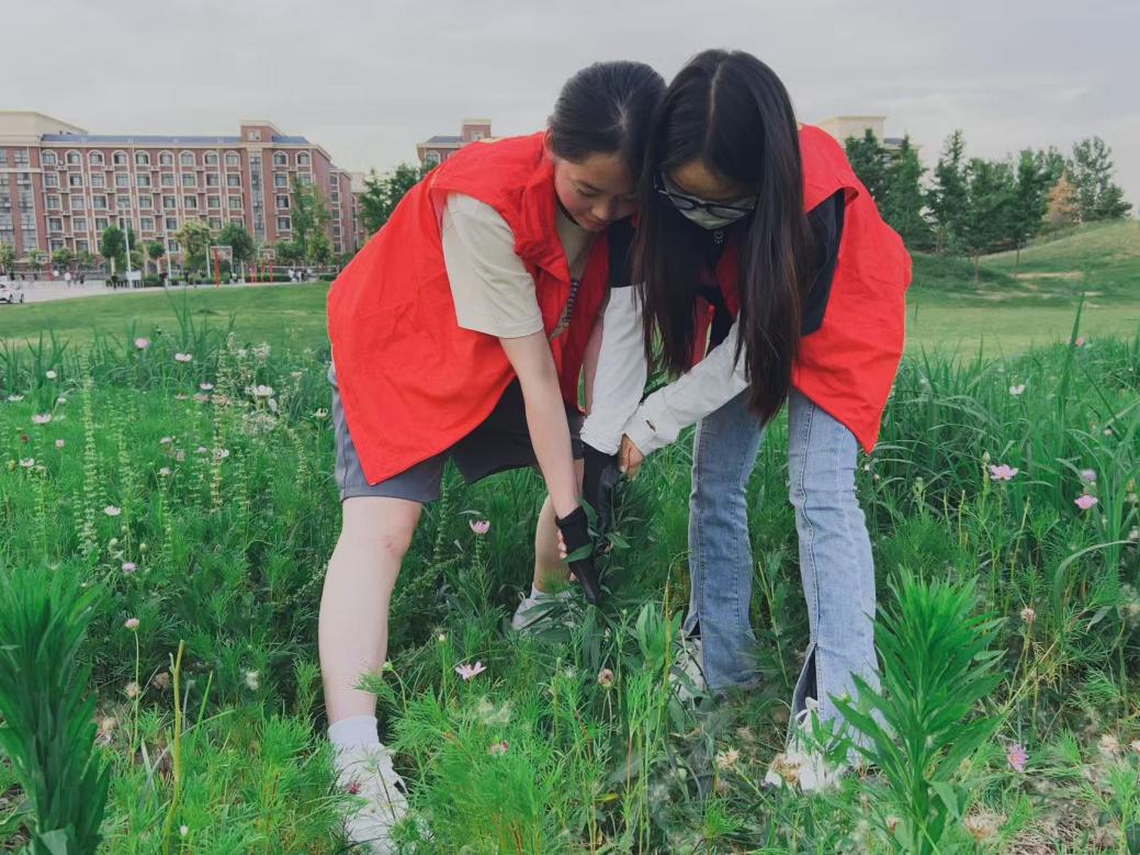 D:/桌面/微信图片_20250604215420_128.jpg微信图片_20250604215420_128