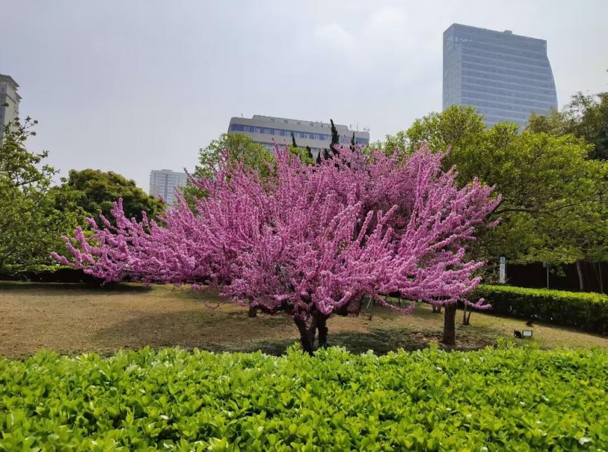 AFE5D74A6D527FE3AB2FB2289D70BA62