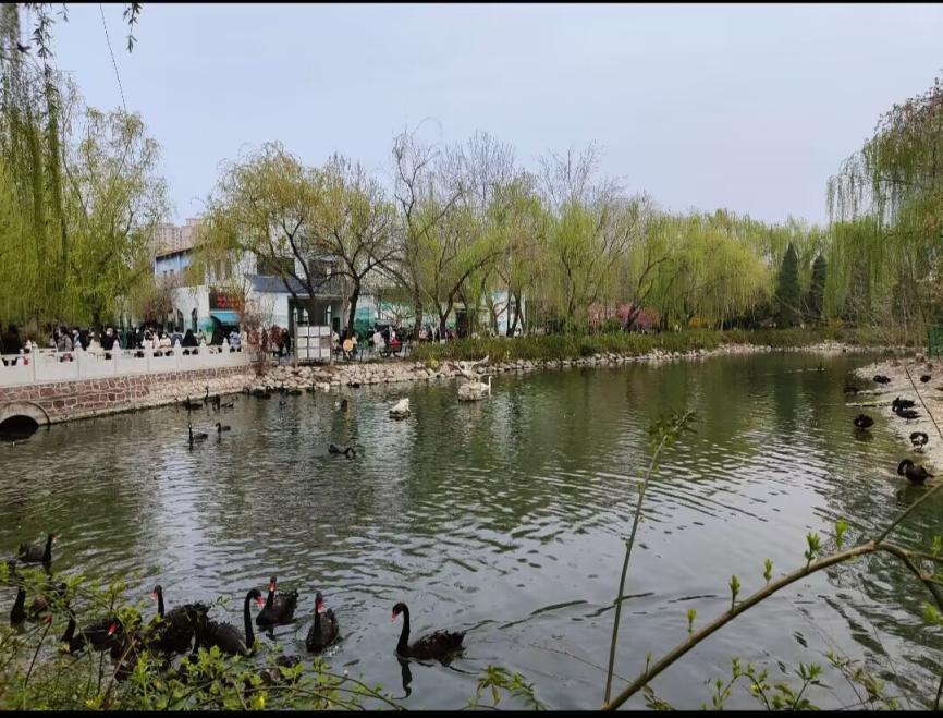 6EC32C87FB371EB173CCB4E4DBEA8C49