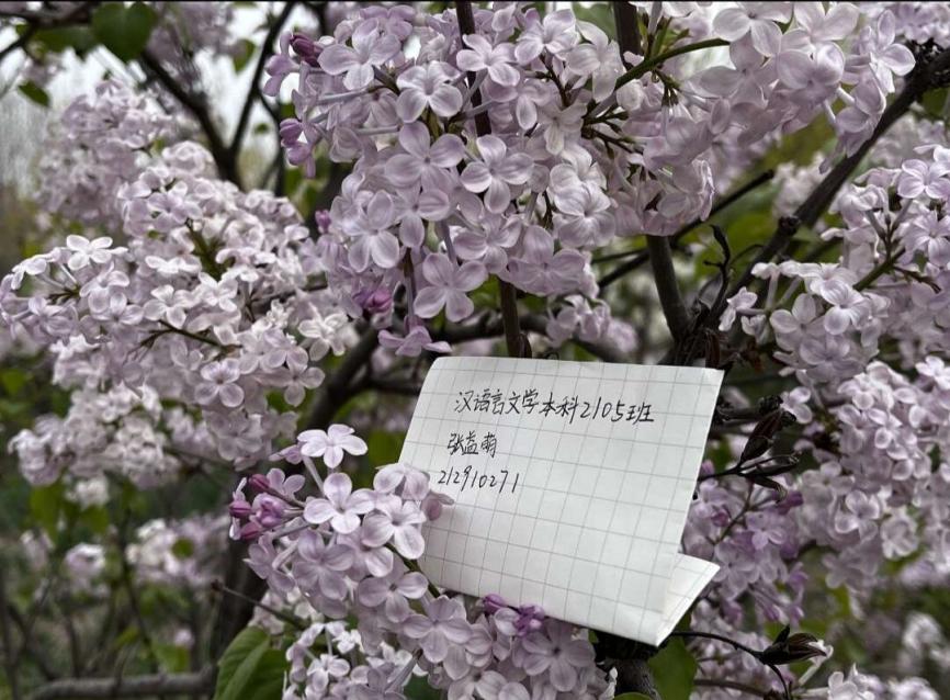 1A97A0B34C1ADC8F5E60CB743F6B4ADC